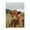 500 Pieces, variant on 500-Piece Wooden Jigsaw Puzzle for Adults - Calf Cattle Pasture Grass Farm , Interlocking Pieces with Guide Letters, Holiday Gift & Home Decor