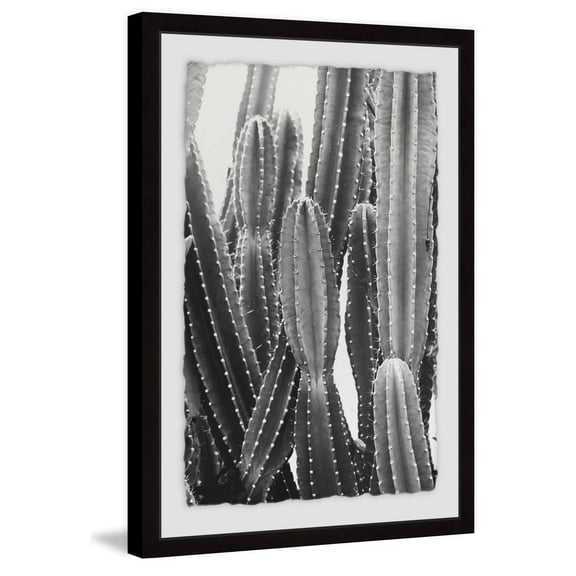Vintage Cactus Framed Painting Print