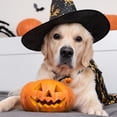 thumbnail image 1 of unbranded 5Ud Para Mascotas En De Calabaza Con De, 1 of 6