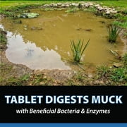 CrystalClear MuckOff, Beneficial Bacteria Treatment for Small Pond & Water Garden Muck Control - 384 Tablets
