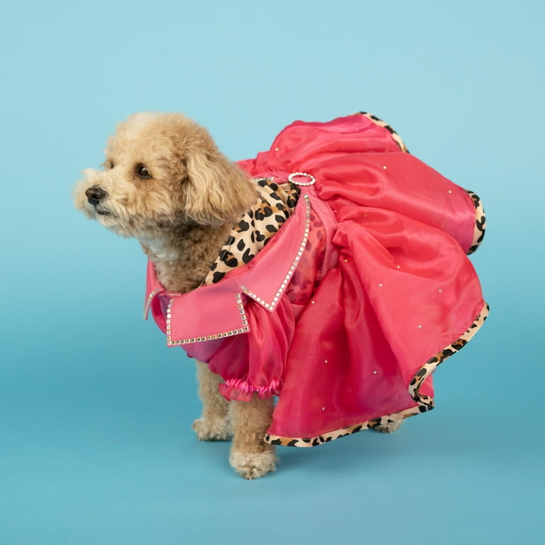 Doggy Parton, Dog and Cat Clothes, Leopard Notched Collar Pet