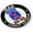 Flexible, variant on BestLicensePlateFrames - US Army 10th Mountain Division Iraq Combat Veteran 3D Domed CAR Emblem Badge Sticker Flexible - Official U.S. Army Licensed Product
