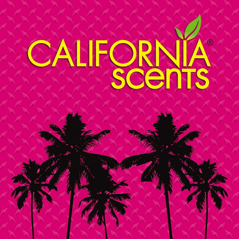 Pack 12 latas California Car Scents: Ambientador de Coche con Fragancia.  Olor y Esencias a Concord Cranberry.