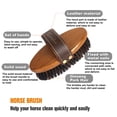 thumbnail image 2 of MAXIMILIAN World Class Handmade Equine Stiff Body Horse Brush. Professional Equine Grooming Tools. Effortlessly Removes Mud, Sweat and Dirt from Your Horses Hair., 2 of 6