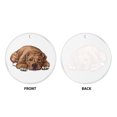 thumbnail image 2 of WIRESTER Large 3 inch Acrylic Ready to Hang Ornament, Hanging Ornaments for Christmas Tree Holidays Party Home Office Xmas Tree Decoration Gift - American Pit Bull Terrier Dog Lying Down Looking Up, 2 of 6