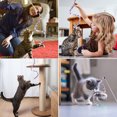 thumbnail image 5 of Lindo juguete de felpa para gato con forma de serpiente con campana, juguete que suena colorido y palo de cinta de arcoíris, 5 of 5