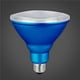 Xtricity Ampoule LED Type PAR38/7W/120V/E26/ Couleur Bleue Intérieur et Extérieur 1pk – image 4 sur 4