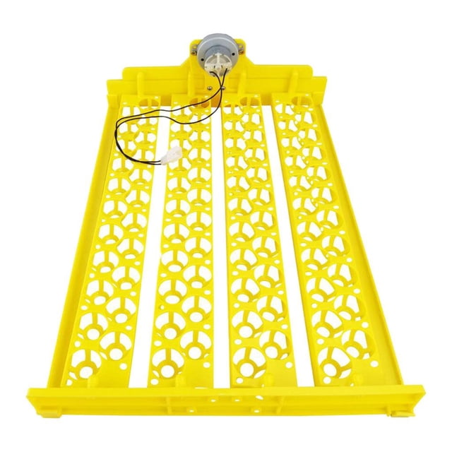 Incubadora 12 V Aves 88 Huevos Criadora Nacedora con Motor Bandeja Automática para DC 12V