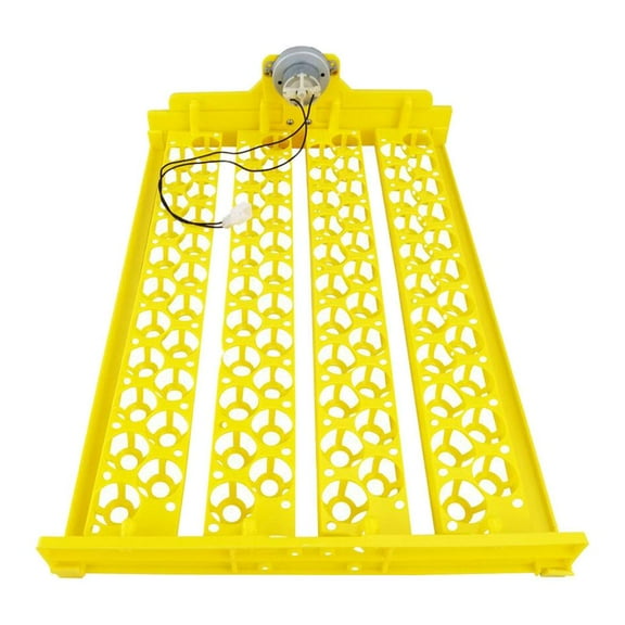 Eggs Incubator 12 Turning Automatic Poultry 8, with Motor Mini Brooder , DC 12V