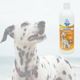 thumbnail image 2 of Pet Dogs Natural Shampoo Oatmeal Vanilla Odor Eliminator Dry Itching Skin 16 oz, 2 of 4