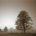 thumbnail image 2 of PhotoINC Studio 26x26 Black Ornate Wood Framed with Double Matting Museum Art Print Titled - Stillness, 2 of 4
