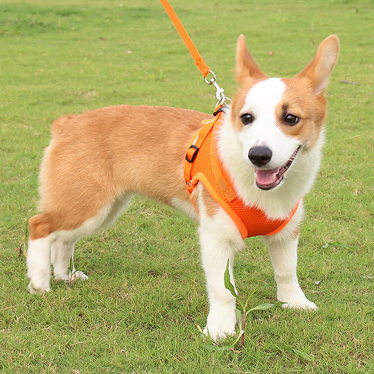 Traction Rope 360 Degree Reflective Design Explosion Proof Polyester Pet  Dog Chest Strap for Outdoor-Orange XS