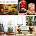 thumbnail image 6 of Glass Display Cloche Dome Decorative Glass Dome Cover Clear Bell Jar Display Case with Black Wood Base for Collectibles Rose Office Home Tabletop Centerpiece Decor 5.91×10.04 Inch DIY, 6 of 6