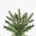 thumbnail image 2 of Vickerman 10' x 54" Douglas Fir Artificial Slim Pre-Lit Christmas Tree, Warm White LED Mini Lights., 2 of 5