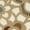 Taupe/Beige, variant on SAFAVIEH Paradise Lucina Floral Area Rug, Taupe/Beige, 4' x 5'7"