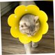 thumbnail image 5 of Collar Blando Postoperatorio for Perros Y Gatos, 2 Unidades, 5 of 6