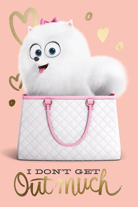 walmart secret life of pets movie walmart secret life of pets movie