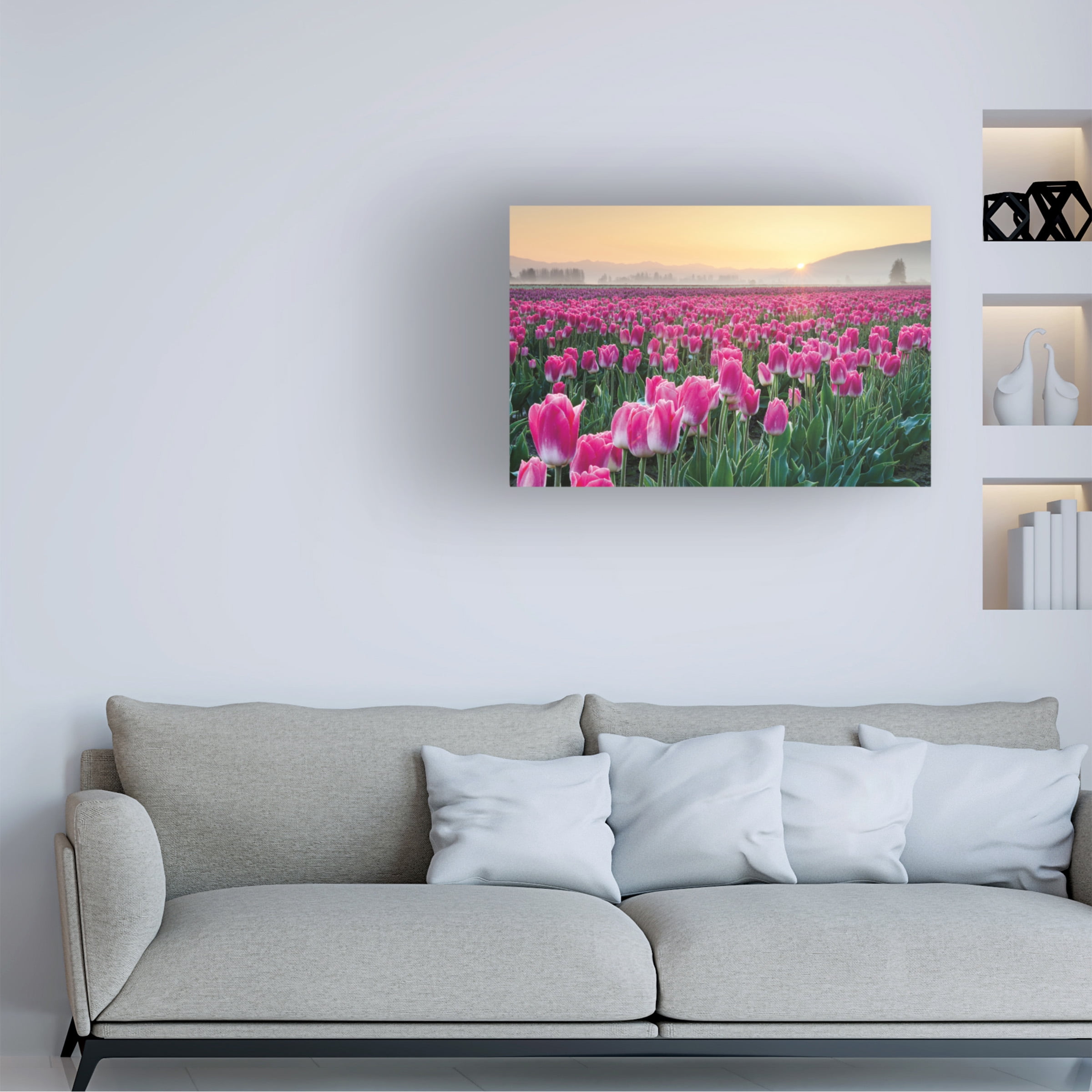 Trademark Fine Art 'Skagit Valley Tulips I' Canvas Art by Alan Majchrowicz