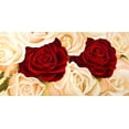 thumbnail image 2 of Biffi, Serena 18x11 White Modern Wood Framed Museum Art Print Titled - Rose composition, 2 of 4