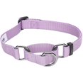thumbnail image 1 of Blueberry Pet Essentials Martingale Safety Training Dog Collar, Lavender, Large, Heavy Duty Nylon Adjustable Collars for Dogs, 1 of 5