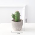 thumbnail image 3 of Coofit Artificial Cactus Mini Elegant Simulated Fake Potted Plant Desk Decoration, 3 of 8