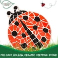 thumbnail image 4 of Kit de peldaños de jardín Creative Roots Mosaic Ladybug 6+, 4 of 6