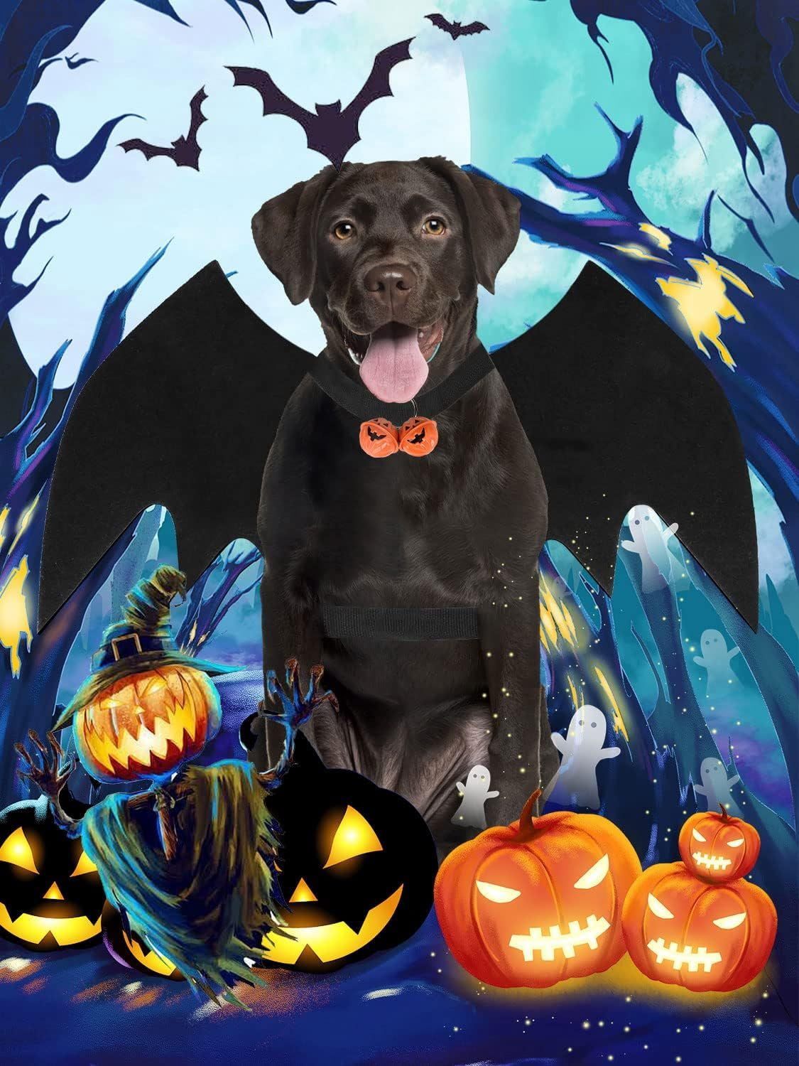 Pet Bat Wing Costume with Adjustable Velcro Straps for Dogs and Cats Halloween Party Cosplay