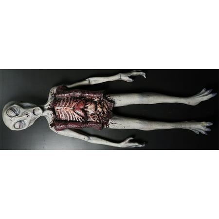 Alien Autopsy Foam Latex Tabletop Two Piece Halloween Decoration Prop Décor