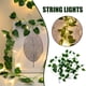 thumbnail image 3 of Guirnalda De Hiedra Artificial, Luces De Hadas LED, Cadena De Luces De Bastón De Simulación Para Decoración De Interiores Y Exteriores ANGGREK Artificial Cane Light String, 3 of 6