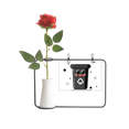 thumbnail image 1 of Clasificación de recursos Botella de decoración de jarrones colgantes de flores rosas artificiales, 1 of 3
