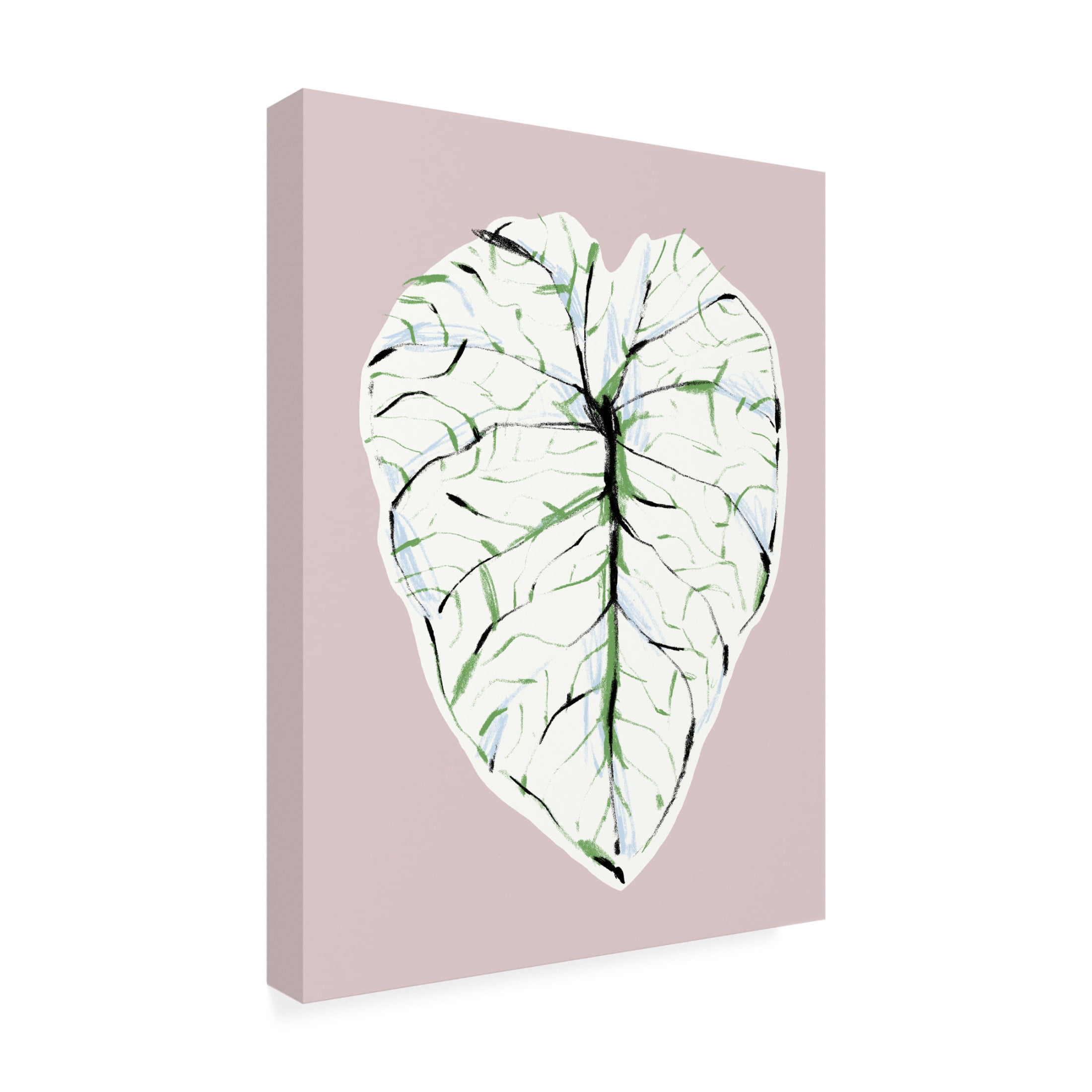 Trademark Fine Art Francesco Gulina Alocasia Melo Light Canvas Wall Art