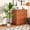 B, variant on Realistic Artificial Dracaena Marginata Tree 3.3FT - UV-Resistant Faux Floor Plant - Iron-leaved dragon blood tree 165 Green