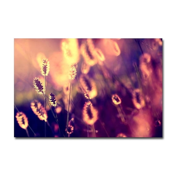 Trademark Fine Art "Let them Shine" Canvas Art by Beata Czyzowska Young