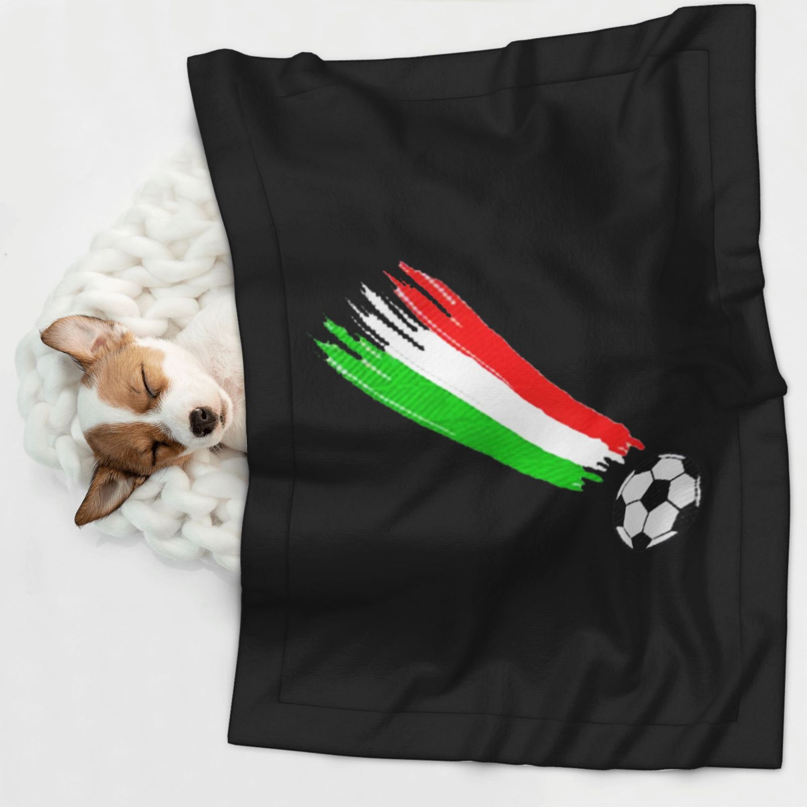 Flannel Throw Dog Blanket Italian Flag And Football Soft Warm Print Pet Blankets for Small Dog Cat Puppy