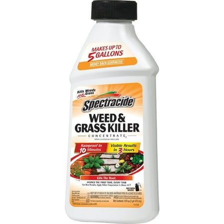 Spectracide Weed & Grass Killer Concentrate2, 16-Ounce