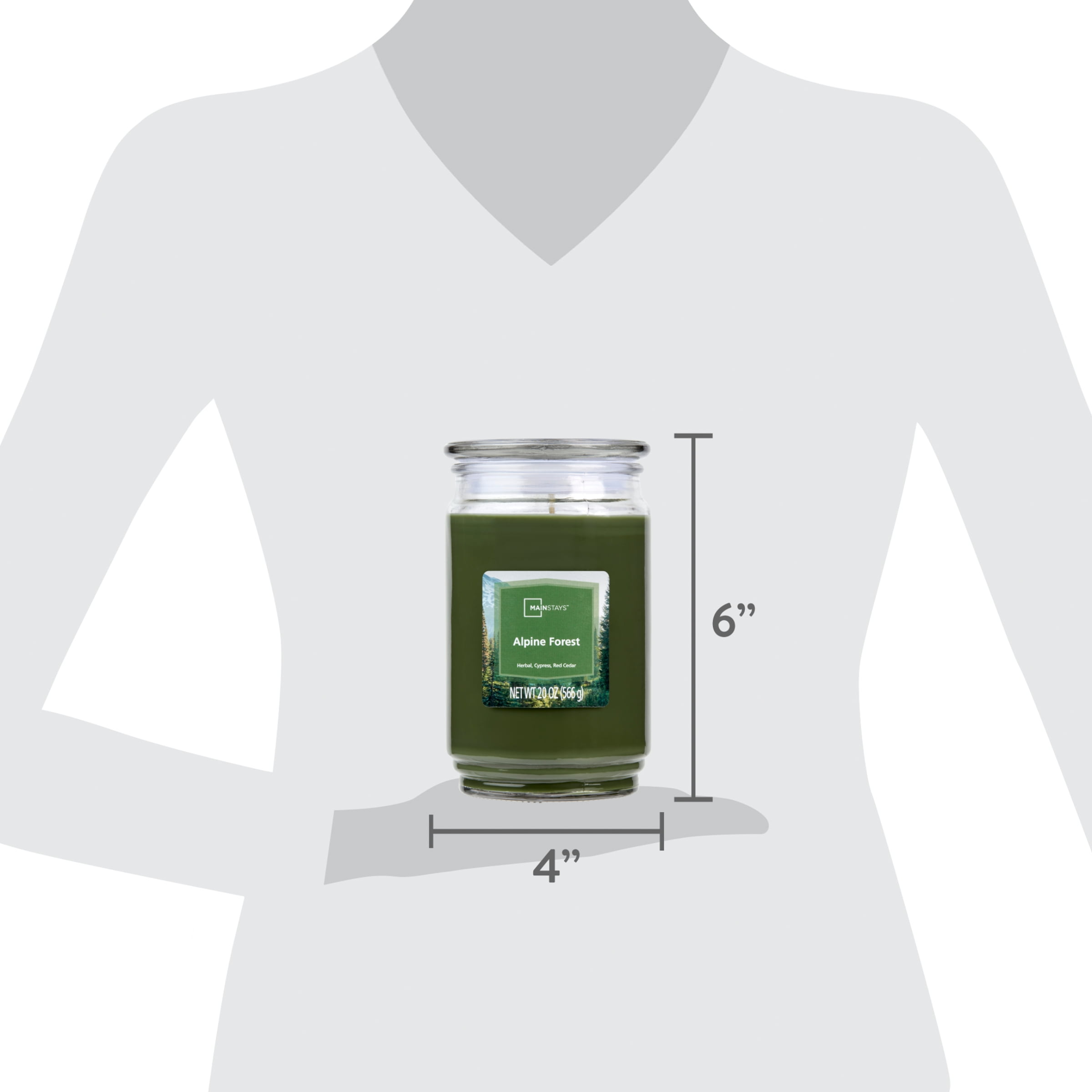 (2 pack) Mainstays Alpine Forest Single-Wick Scented Glass Jar Candle, 20 oz