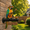 B#025, variant on Outdoor Solar-Powered LED Parrot Garden Light, Tropical Figurine with Straw Hat and Ukulele, Durable Resin Decor for Yard, Patio and Beach Themed Parties