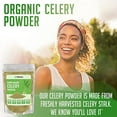 XPRS Nutra Organic Celery Powder Celery Organic Fresh Powder