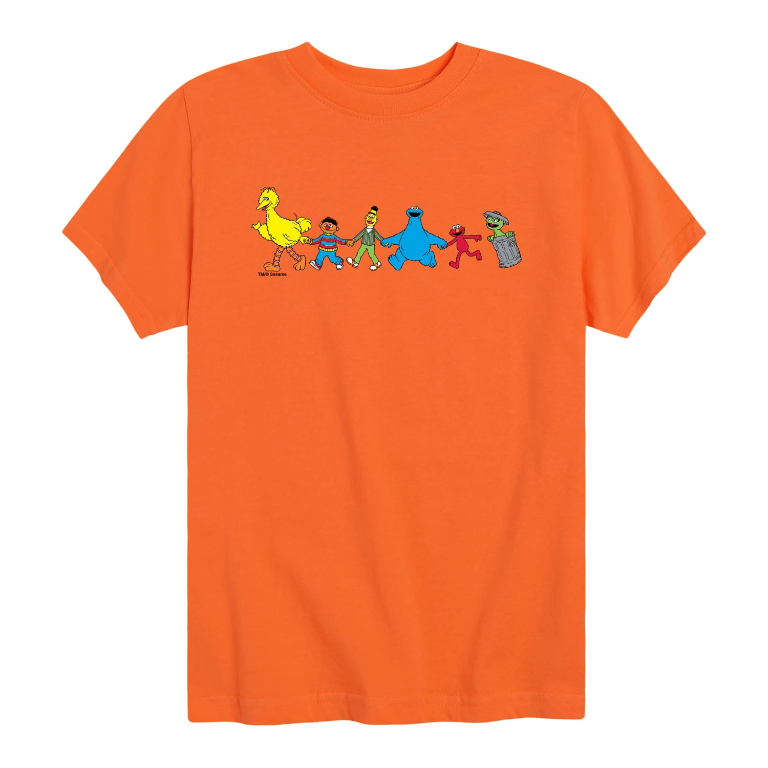 Sesame Street - Group Horizontal Chest - Youth Boys Short Sleeve Graphic T-Shirt
