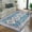 Sea Blue, variant on ZACOO 8' x 10' Large Area Rug Vintage Rug Persian Rug Soft Oriental Distressed Carpet Machine Washable Floor Cover for Living Room Bedroom, Gray