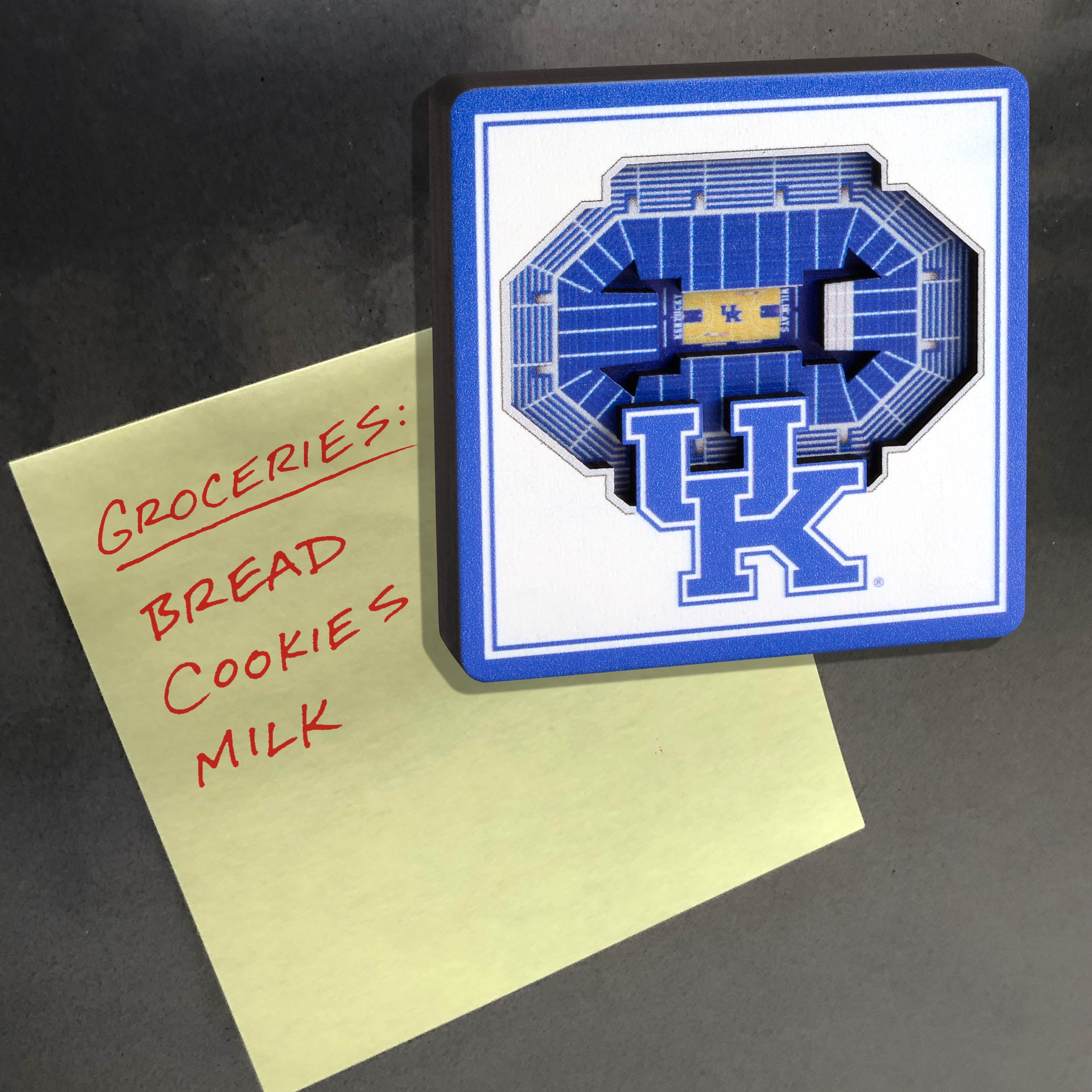 YouTheFan NCAA Kentucky Wildcats 3D StadiumView Magnet