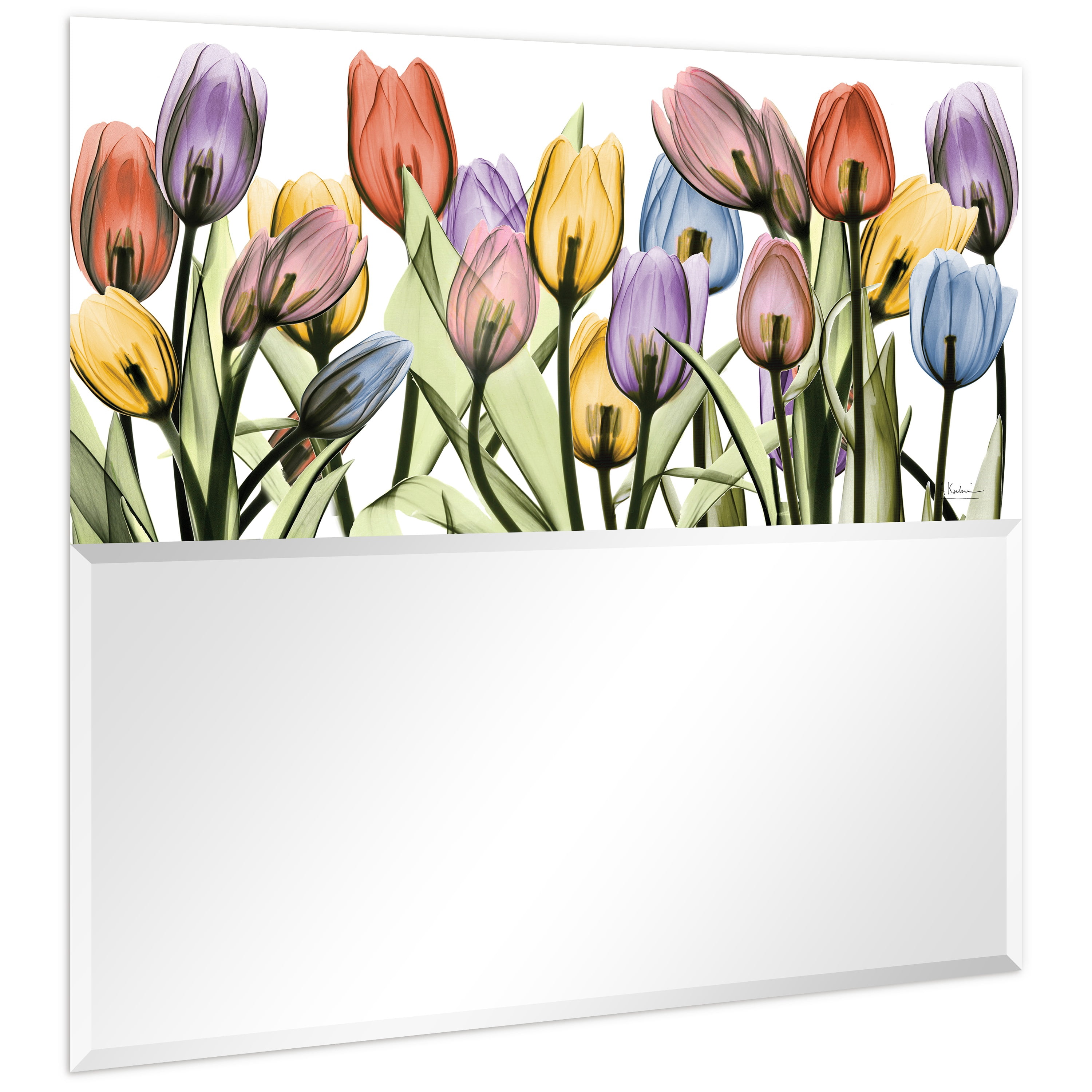 Empire Art Direct "Tulip Scape" Square Beveled Mirror on Free Floating Printed Tempered Art Glass - Clear - 38 x 38