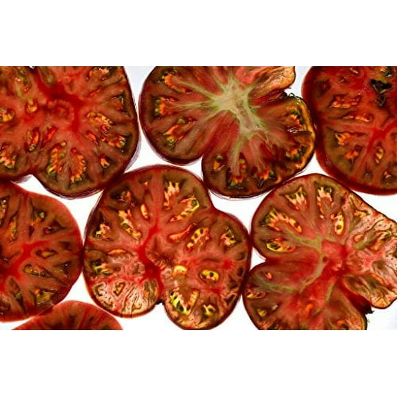 Tomato Black Sea Man Great Heirloom Garden Vegetable by Seed Kingdom Bulk 1 OZ Seeds