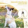 thumbnail image 4 of Small Dog Harness and Leash Set No Pull Puppy Harness Step-in Adjustable Puppy Cat Dog Vest Harnesses Soft Mesh Breathable Dog Harness Backpack Pet Harness for Puppies Small Medium Dogs, 4 of 7