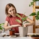 thumbnail image 4 of Apuestas Soporte Vegetal 30 Piezas Apoyo Plantas Ajustable para Interior, 4 of 9