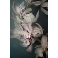 thumbnail image 2 of Urquhart, Elizabeth 11x14 Gold Ornate Wood Framed with Double Matting Museum Art Print Titled - Dark Orchid I, 2 of 4