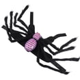 thumbnail image 3 of 1 disfraz de gato para decoraciones de Halloween., 3 of 3
