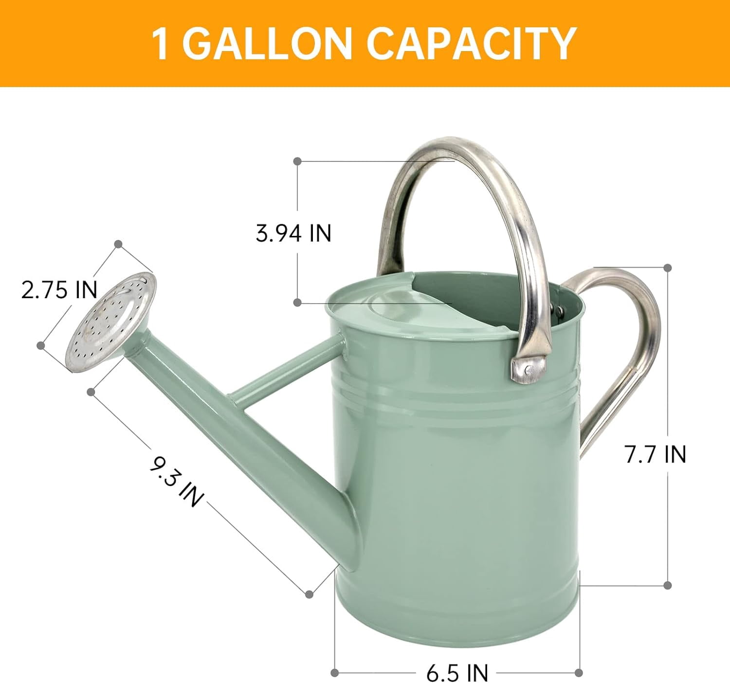 Metal Watering Can for Outdoor Plants, 1 Gallon Galvanized Steel Watering Can with Removable spout for Outdoor & Indoor Use, Perfect for Garden Flower, Houseplants, Forest Green