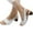 White, variant on OAVQHLG3B Comfortable Elegant Low Chunky Heel Shoes Women Summer Thick Heel Sandals Pumps Ankle Buckle Open Toe Casual Shoes