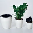 thumbnail image 6 of FELTECHELECTR 1Pack Automatic Watering Pots in White Color Perfect for Office Use 5.9x5.5x2.8in, 6 of 8